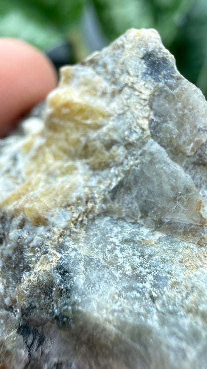Wagnerite (“Kjerulfine”)- Kjerulfine Mine, Havredal, Bamble, Telemark, Norway