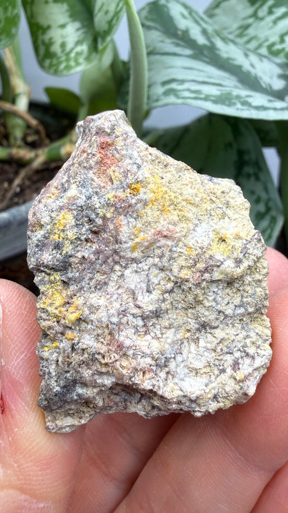 Anglesite, Galena- Mammoth-Saint Anthony Mine, Arizona