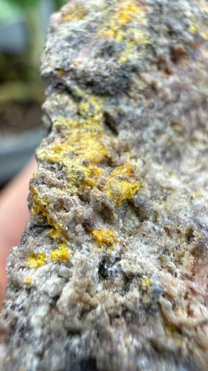 Anglesite, Galena- Mammoth-Saint Anthony Mine, Arizona