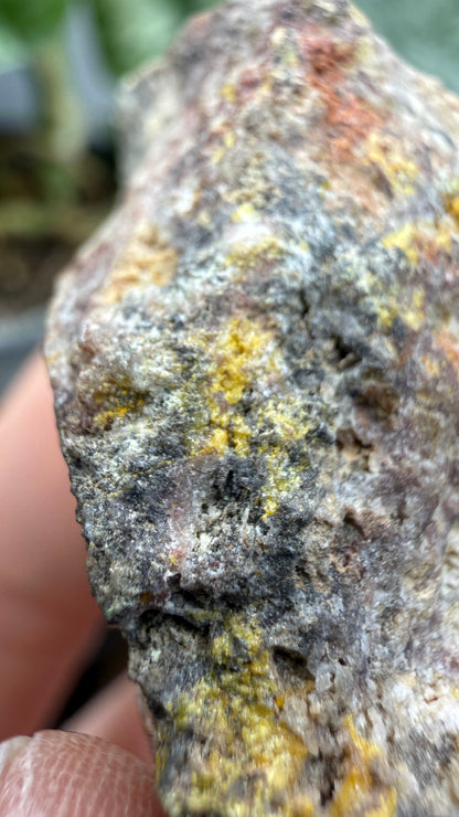 Anglesite, Galena- Mammoth-Saint Anthony Mine, Arizona