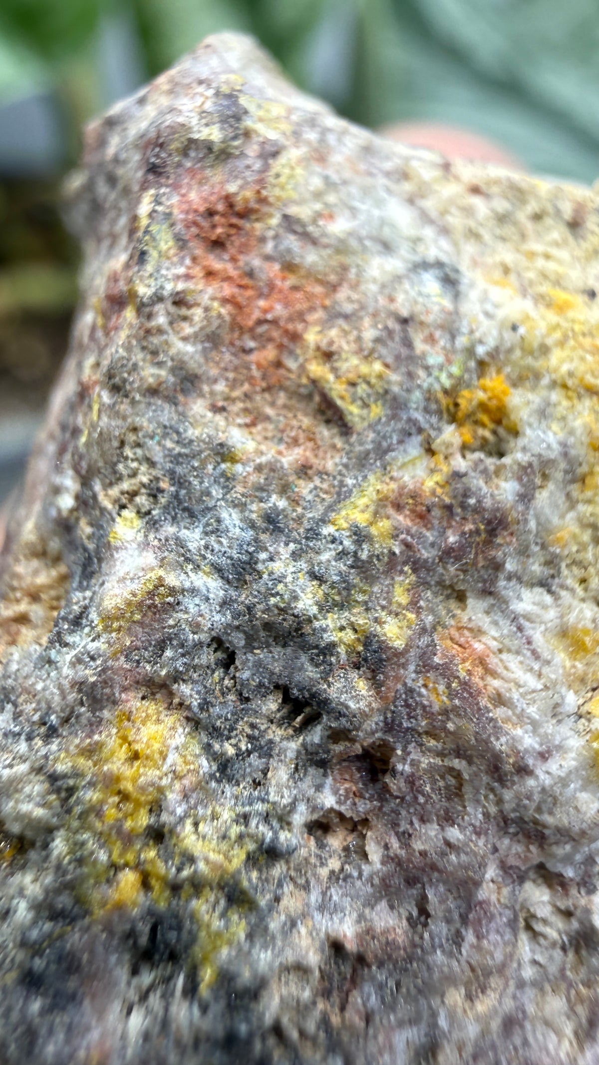 Anglesite, Galena- Mammoth-Saint Anthony Mine, Arizona