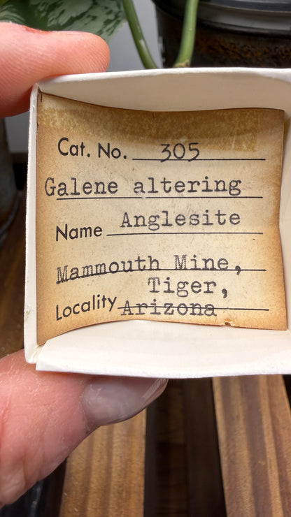 Anglesite, Galena- Mammoth-Saint Anthony Mine, Arizona