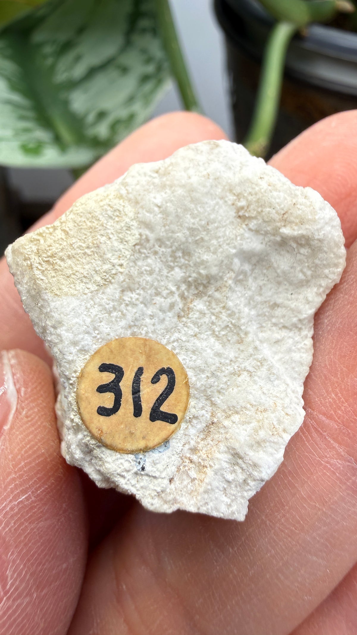 Gypsum– Greer County, Oklahoma, USA