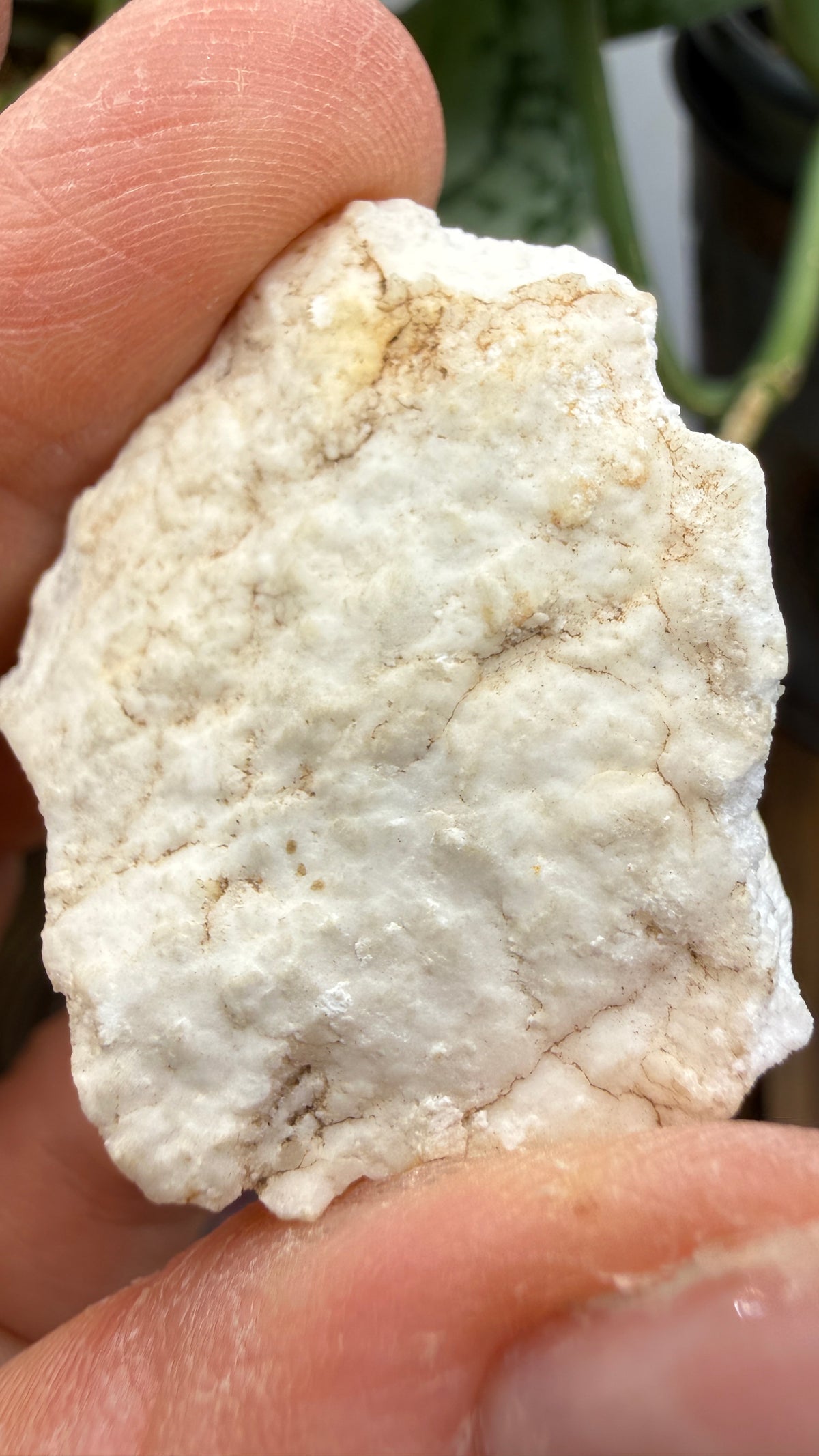 Gypsum– Greer County, Oklahoma, USA