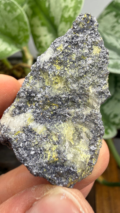 Molybdenite & Ferrimolybdite- Alta, Salt Lake County, Utah, USA