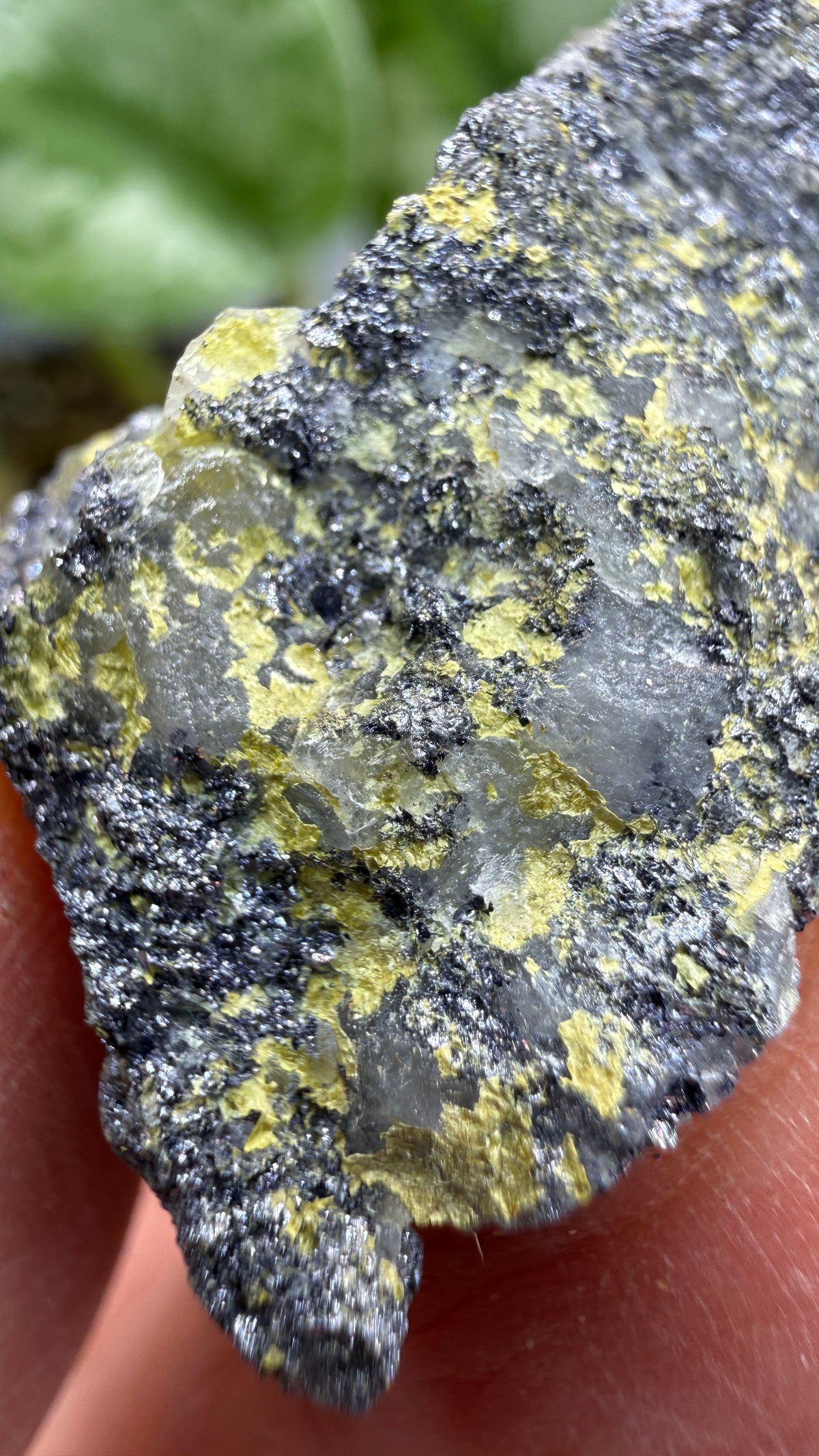 Molybdenite & Ferrimolybdite- Alta, Salt Lake County, Utah, USA