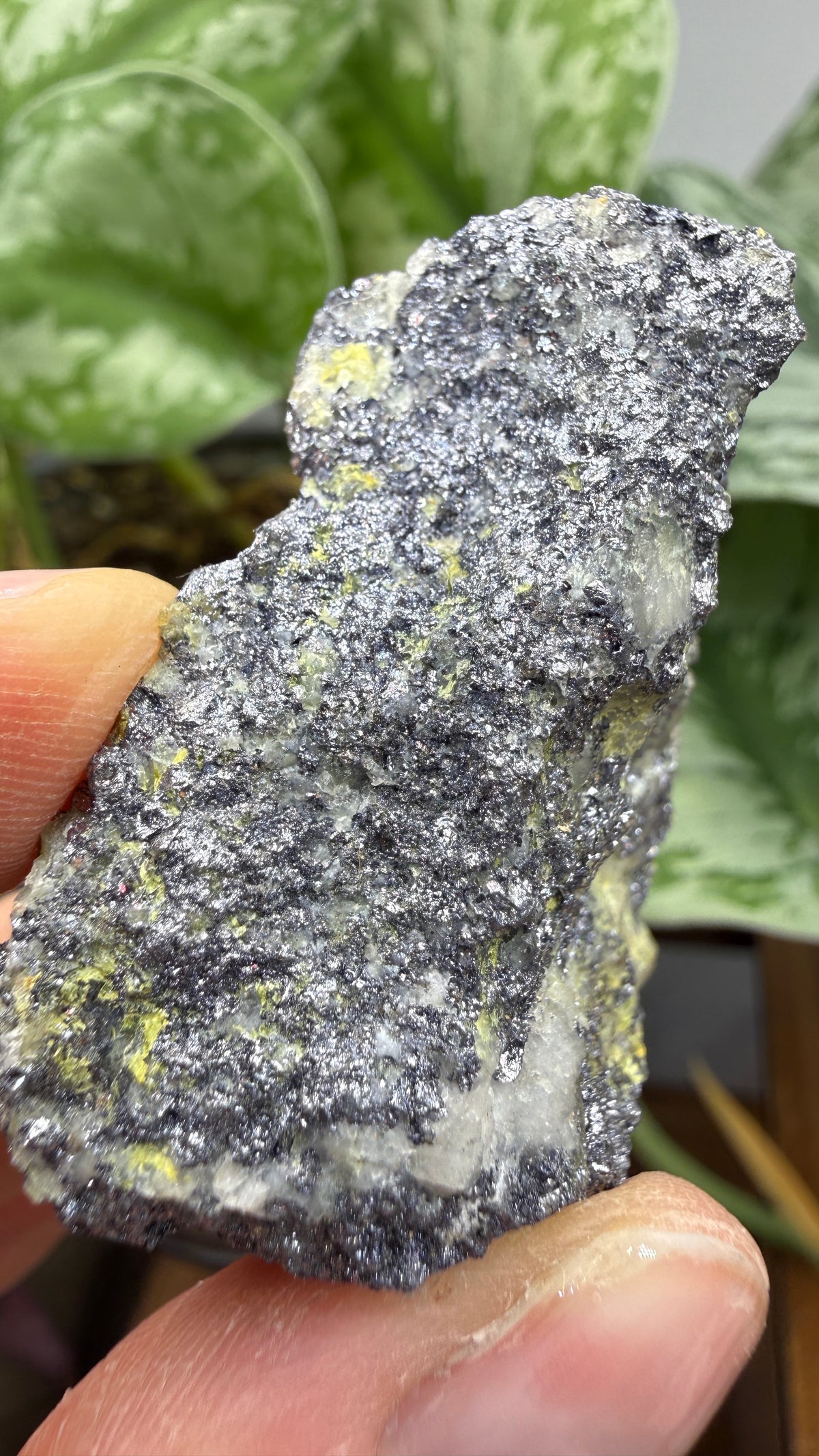Molybdenite & Ferrimolybdite- Alta, Salt Lake County, Utah, USA