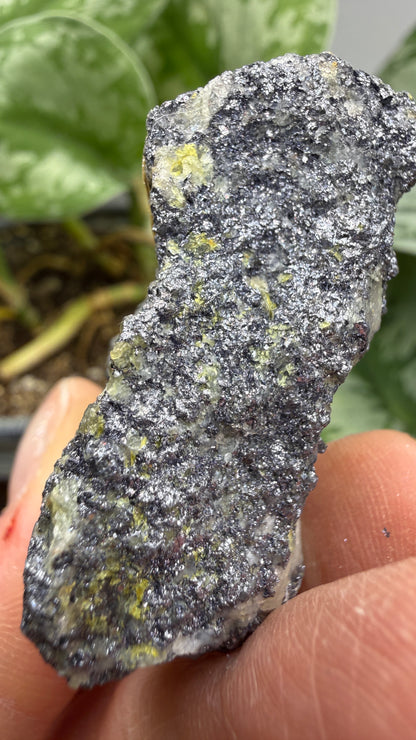 Molybdenite & Ferrimolybdite- Alta, Salt Lake County, Utah, USA