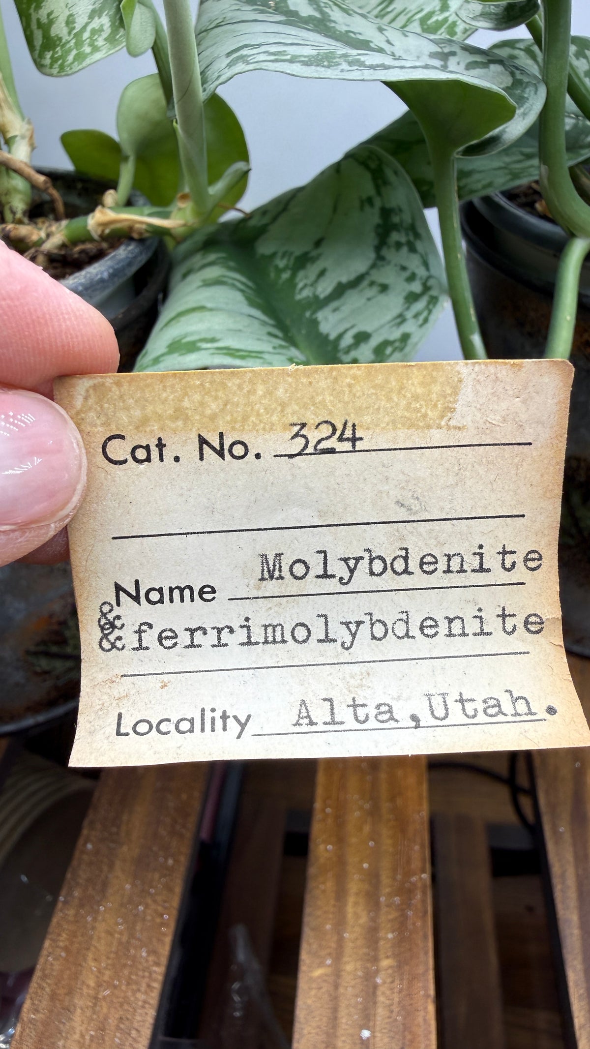 Molybdenite & Ferrimolybdite- Alta, Salt Lake County, Utah, USA