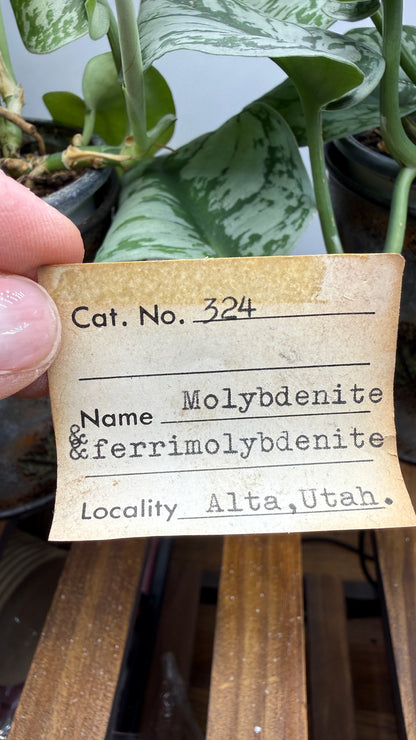 Molybdenite & Ferrimolybdite- Alta, Salt Lake County, Utah, USA