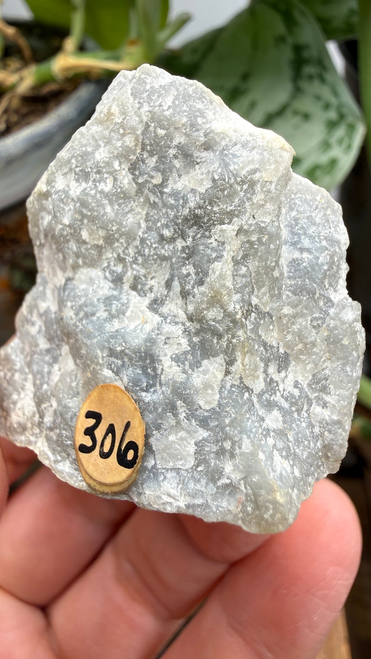 Anhydrite- Windsor, Hants County, Nova Scotia, Canada