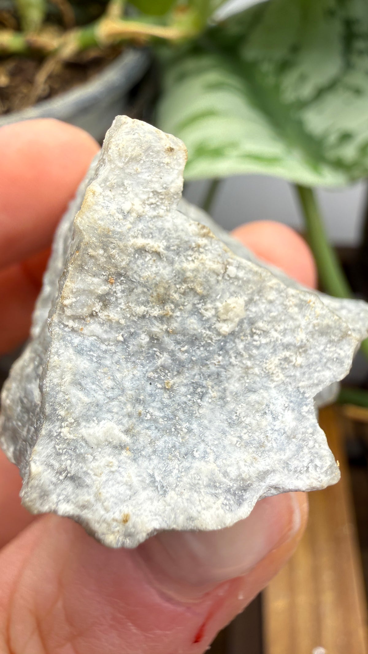 Anhydrite- Windsor, Hants County, Nova Scotia, Canada