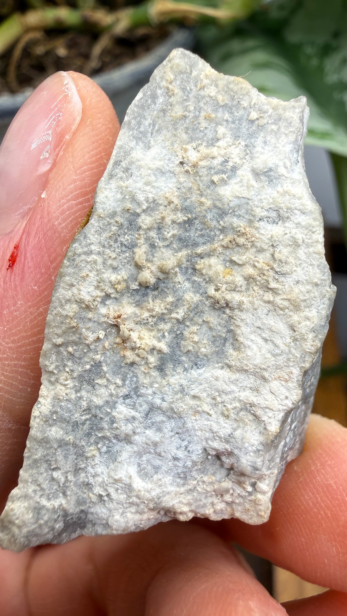 Anhydrite- Windsor, Hants County, Nova Scotia, Canada