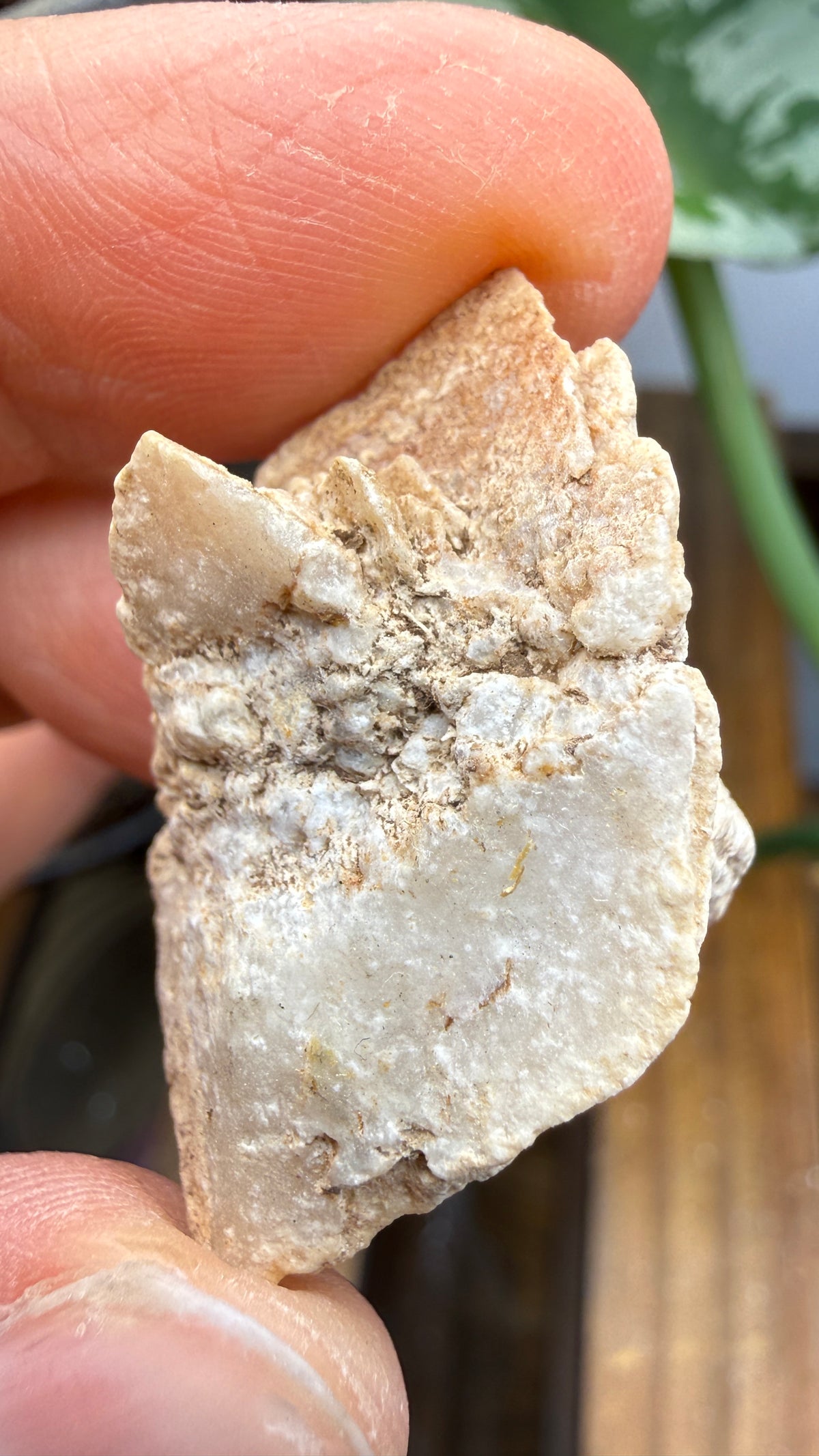 Gypsum Pseudomorph after Glauberite- Salton Sea, Imperial Valley, California, USA