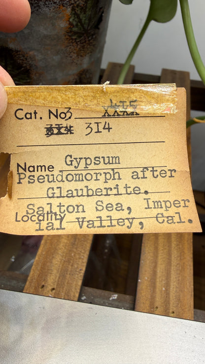 Gypsum Pseudomorph after Glauberite- Salton Sea, Imperial Valley, California, USA