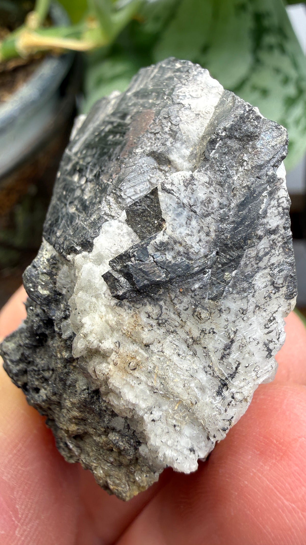 Wolframite in Quartz- San Cristóbal Mine, Yauli District, Yauli Province, Junín, Peru