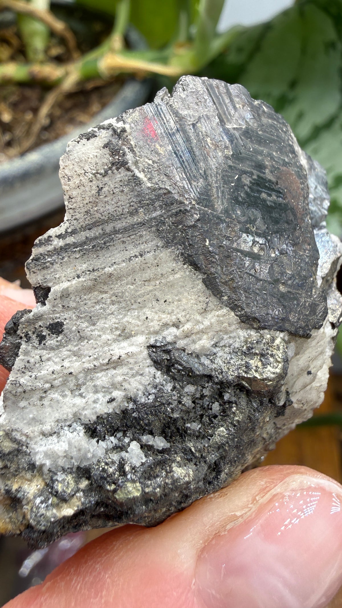 Wolframite in Quartz- San Cristóbal Mine, Yauli District, Yauli Province, Junín, Peru