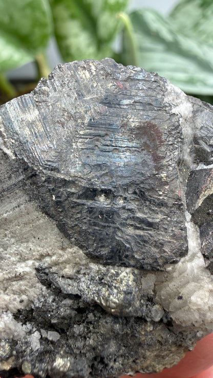 Wolframite in Quartz- San Cristóbal Mine, Yauli District, Yauli Province, Junín, Peru
