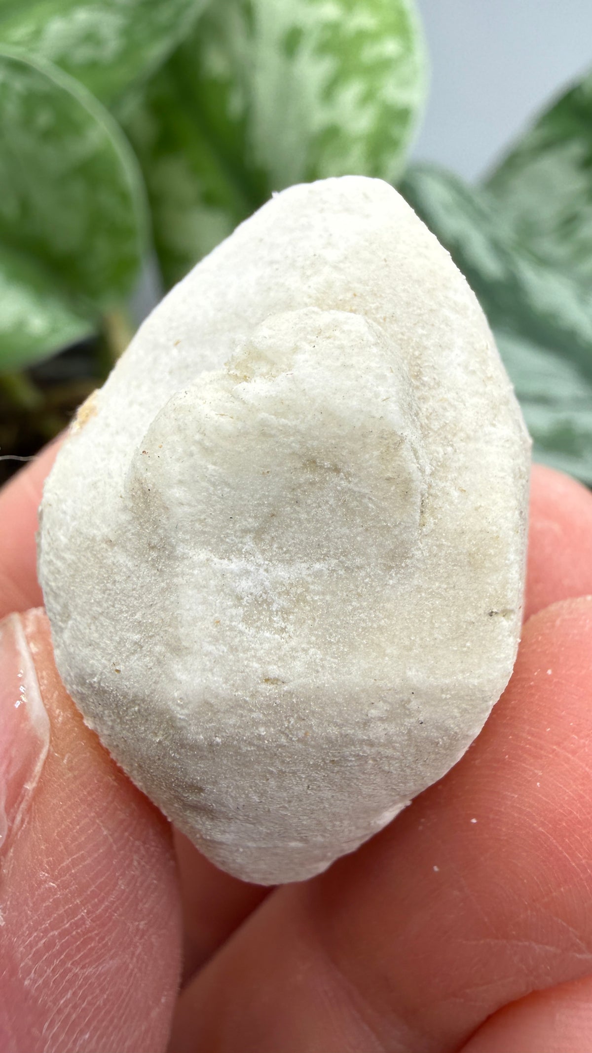 Hanksite- Searles Lake, San Bernardino County, California, USA