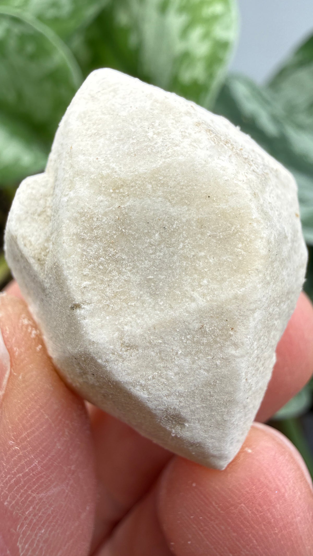 Hanksite- Searles Lake, San Bernardino County, California, USA
