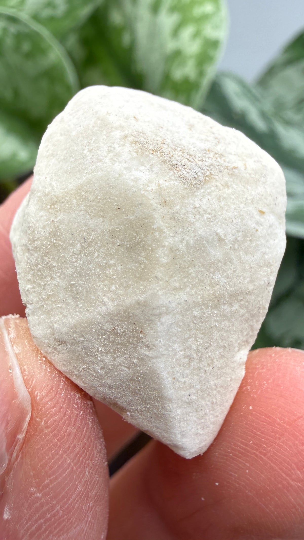 Hanksite- Searles Lake, San Bernardino County, California, USA