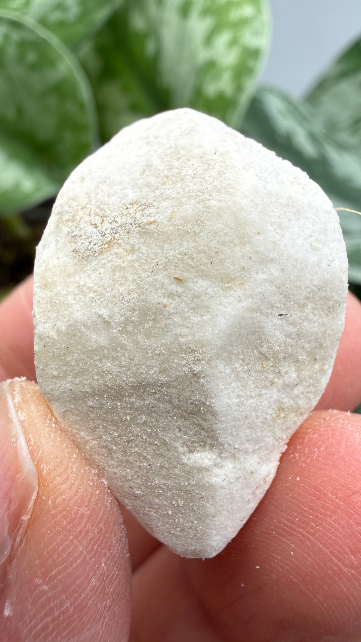 Hanksite- Searles Lake, San Bernardino County, California, USA