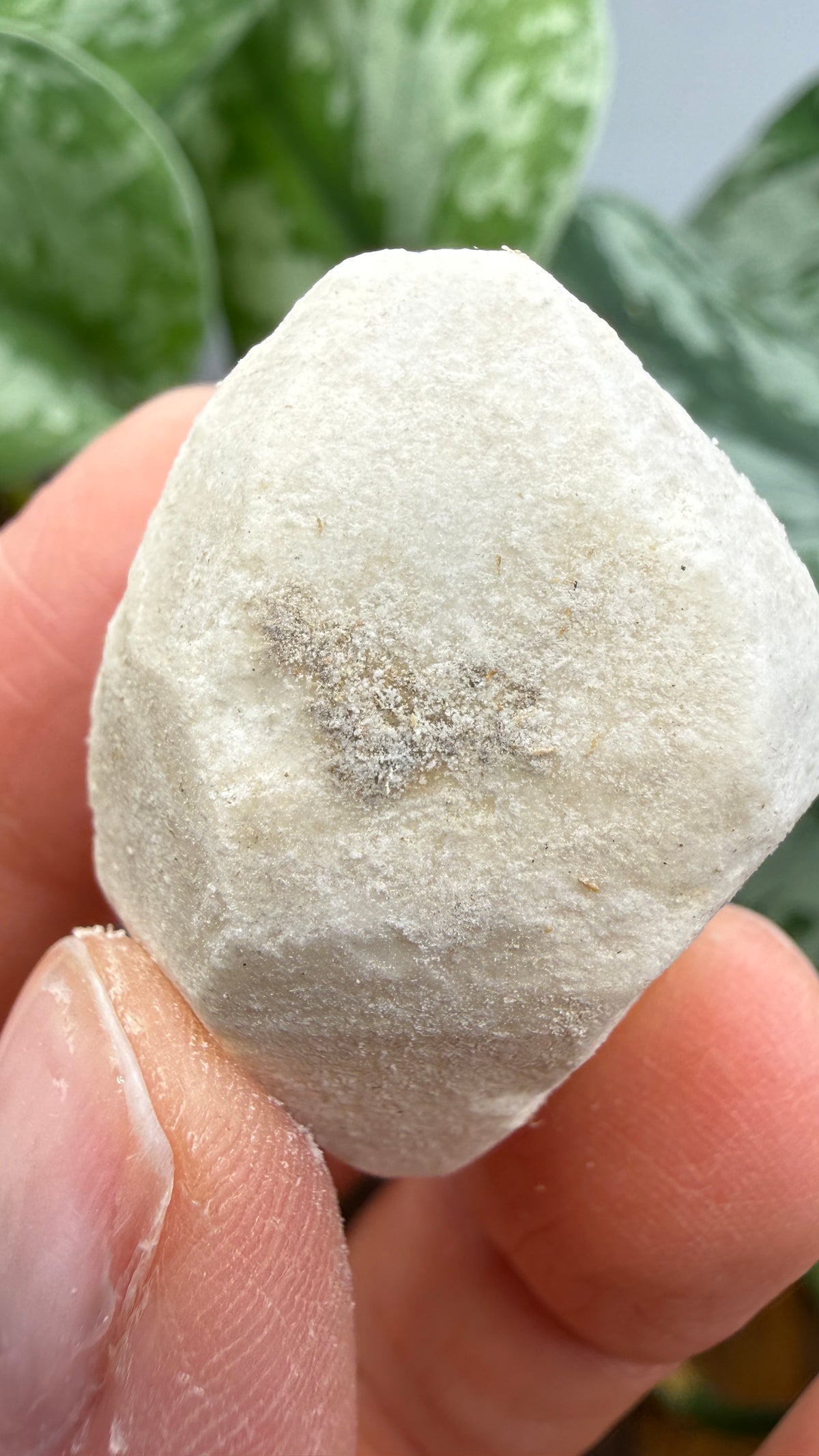 Hanksite- Searles Lake, San Bernardino County, California, USA