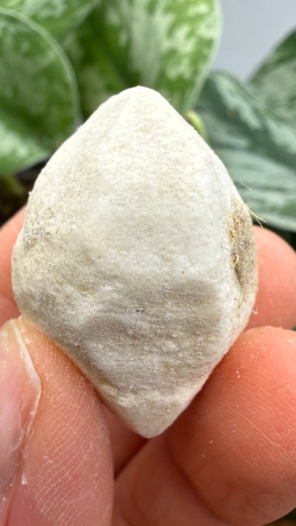 Hanksite- Searles Lake, San Bernardino County, California, USA
