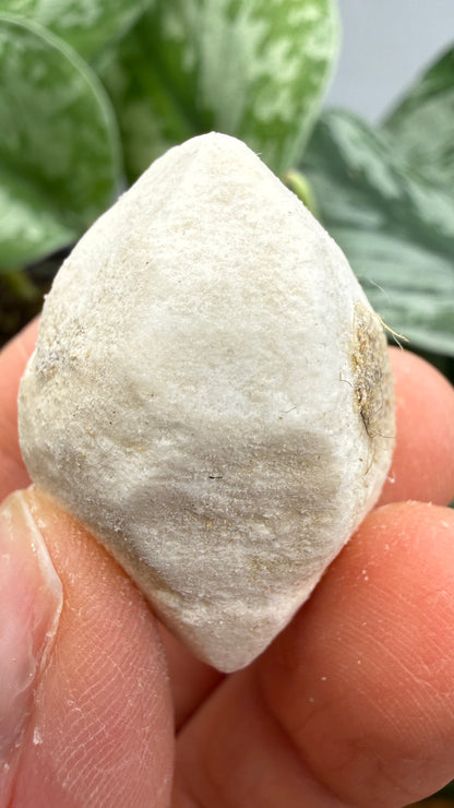 Hanksite- Searles Lake, San Bernardino County, California, USA