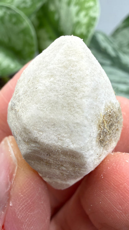 Hanksite- Searles Lake, San Bernardino County, California, USA