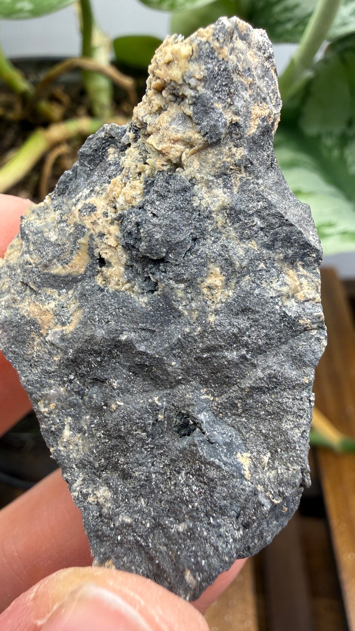 Ferberite- Nederland Mining District, Boulder County, Colorado, USA