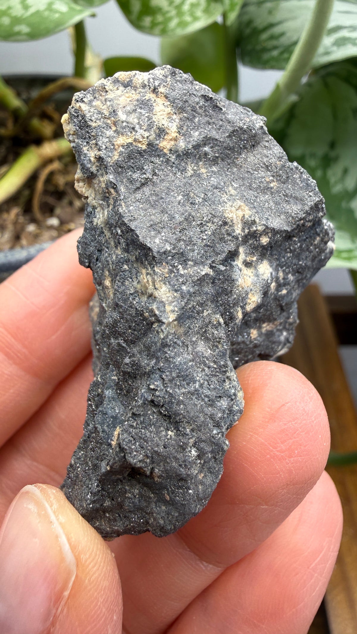 Ferberite- Nederland Mining District, Boulder County, Colorado, USA