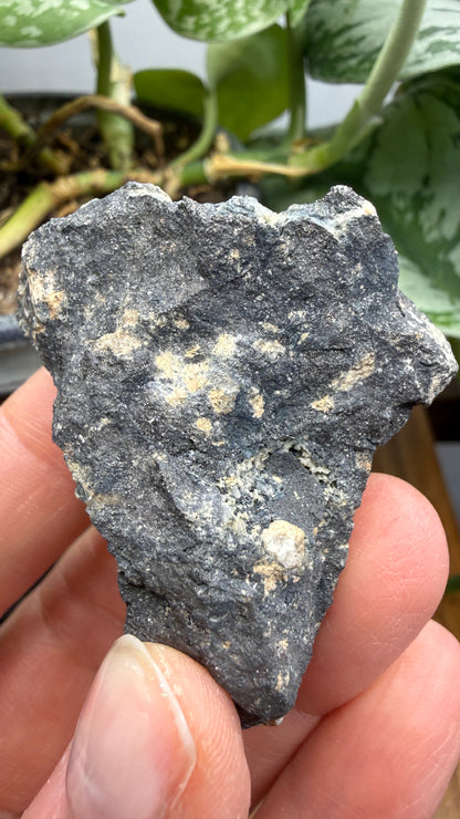 Ferberite- Nederland Mining District, Boulder County, Colorado, USA