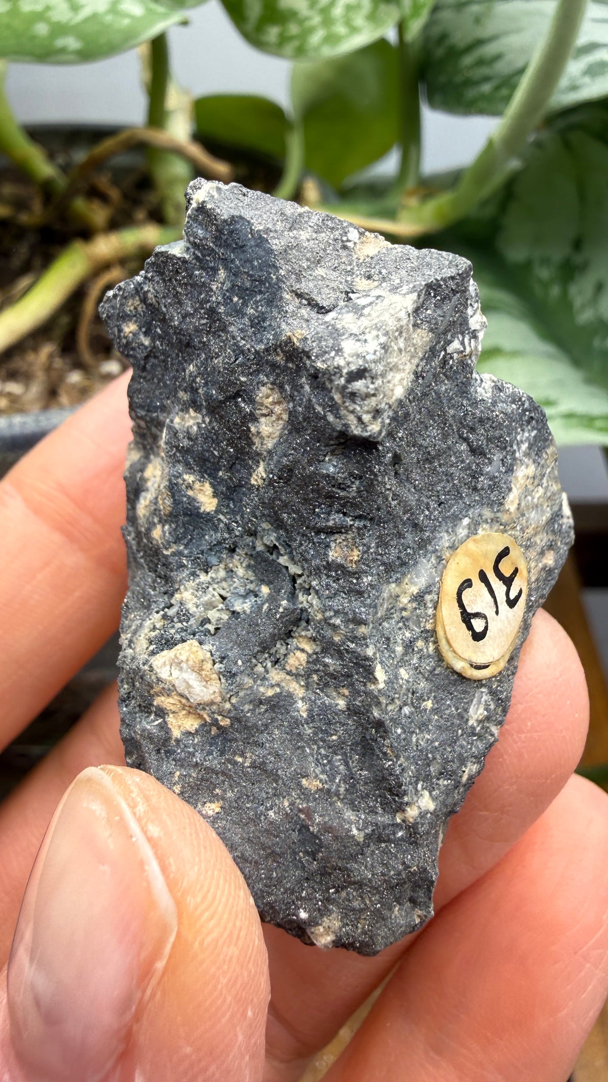 Ferberite- Nederland Mining District, Boulder County, Colorado, USA