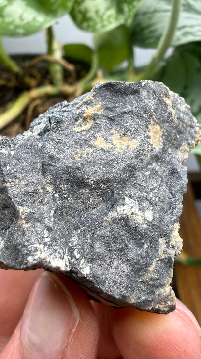 Ferberite- Nederland Mining District, Boulder County, Colorado, USA