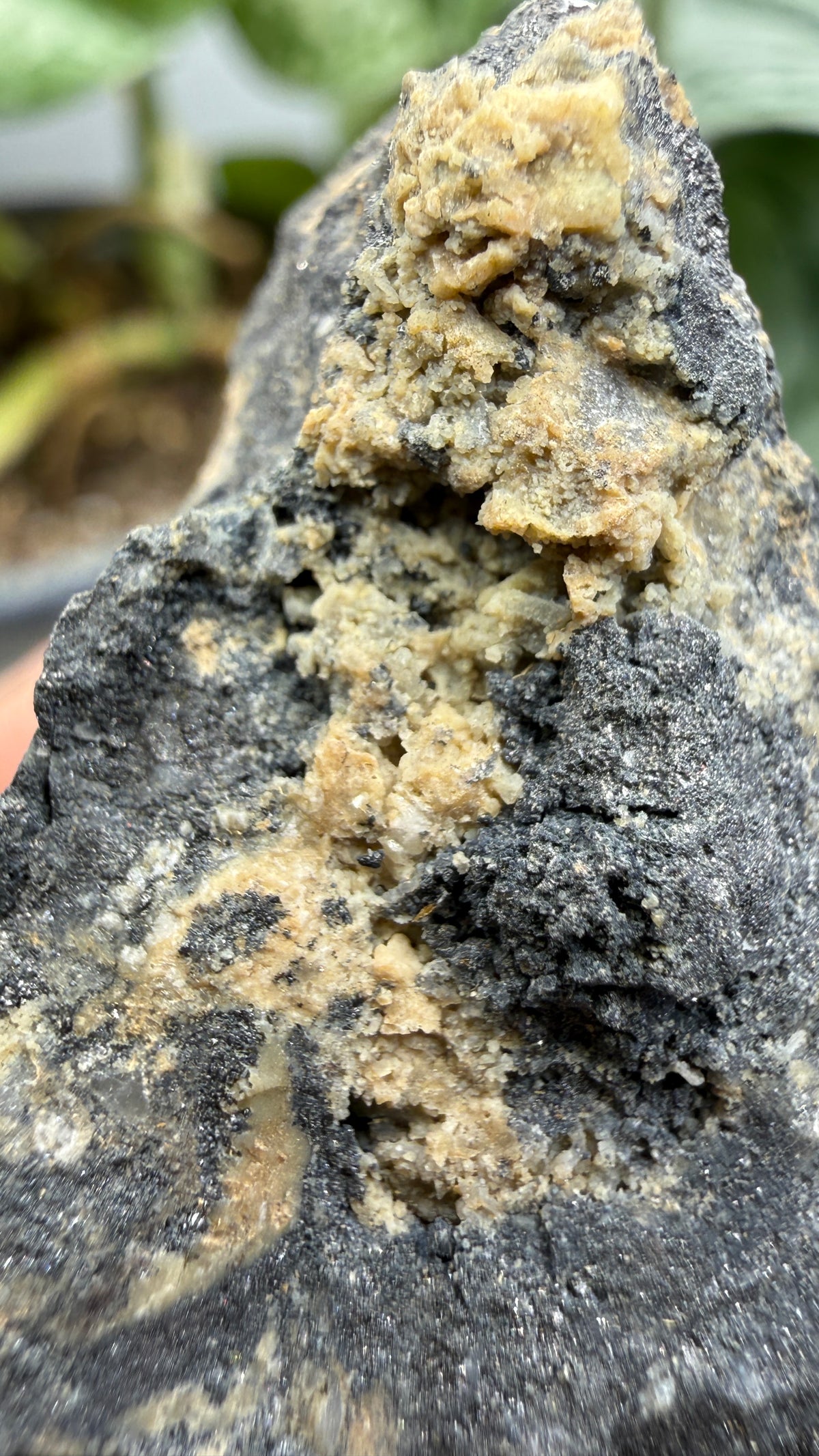 Ferberite- Nederland Mining District, Boulder County, Colorado, USA