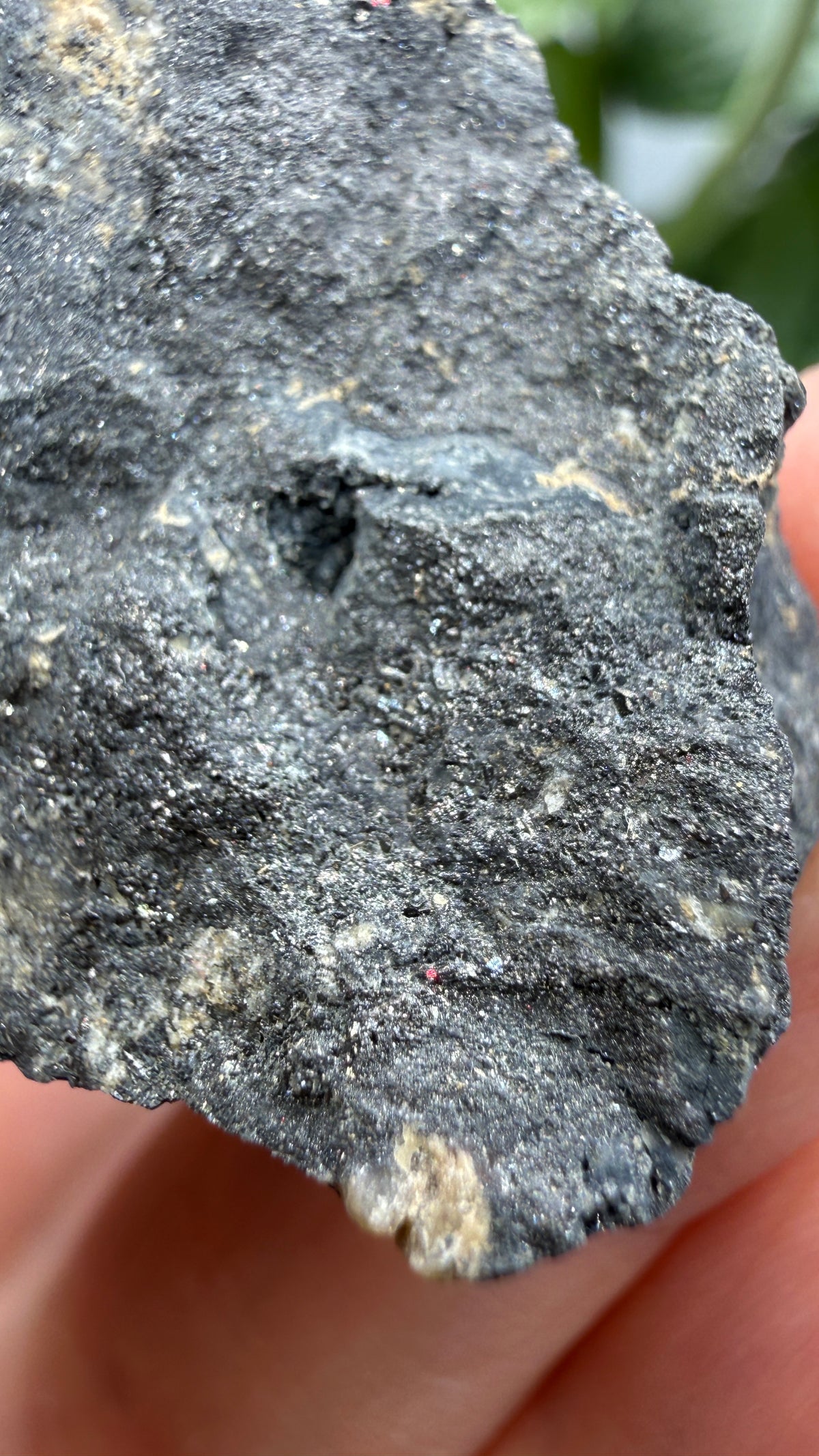 Ferberite- Nederland Mining District, Boulder County, Colorado, USA