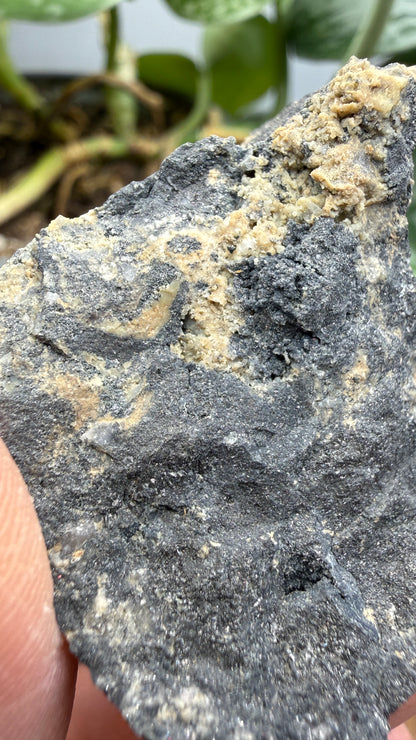 Ferberite- Nederland Mining District, Boulder County, Colorado, USA