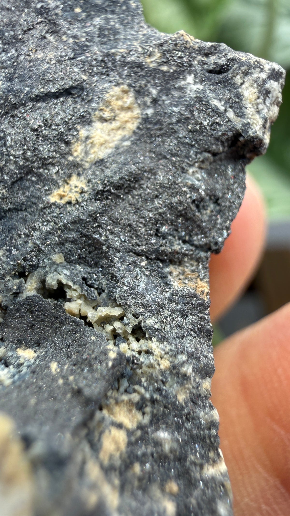 Ferberite- Nederland Mining District, Boulder County, Colorado, USA