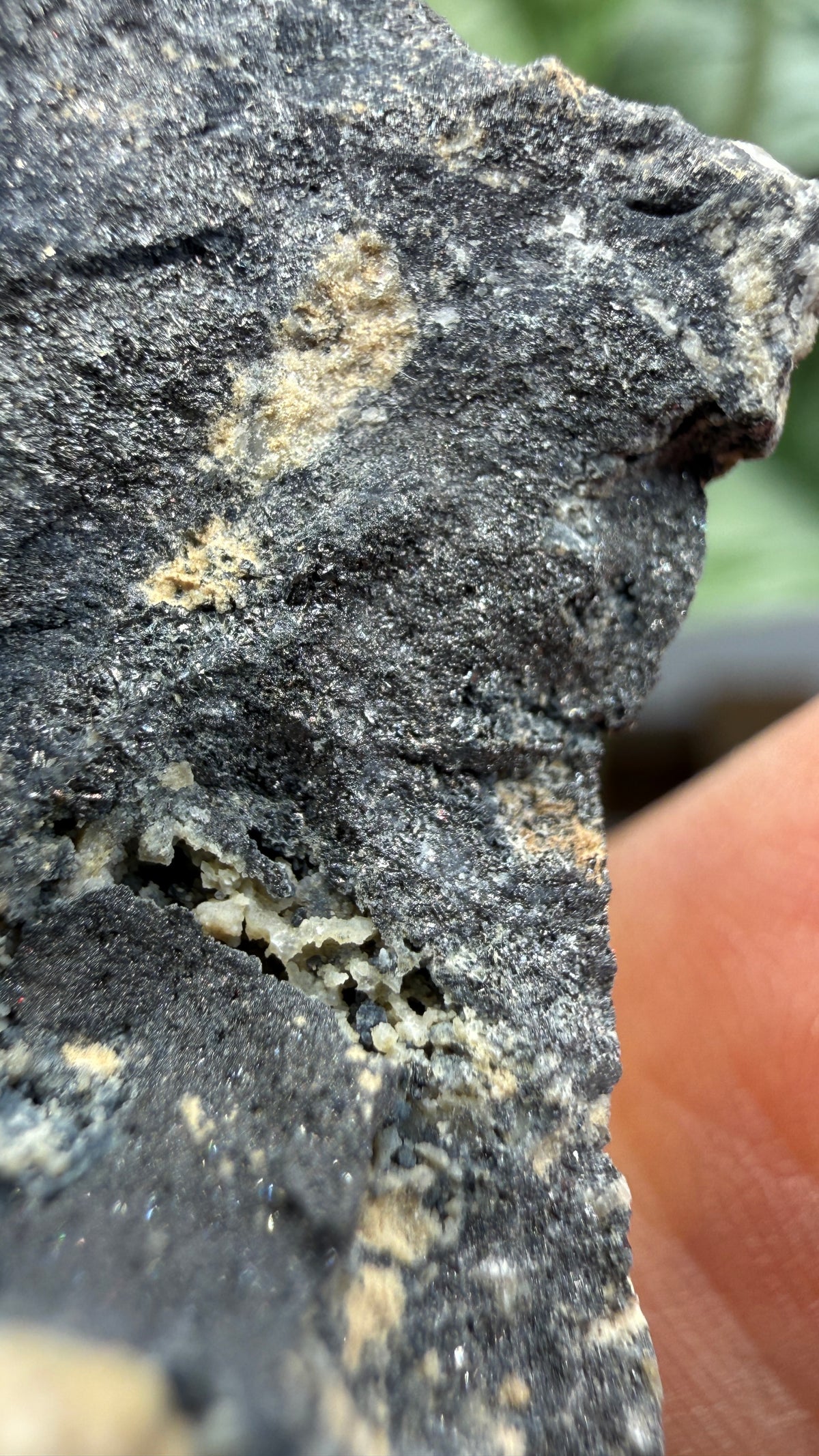 Ferberite- Nederland Mining District, Boulder County, Colorado, USA