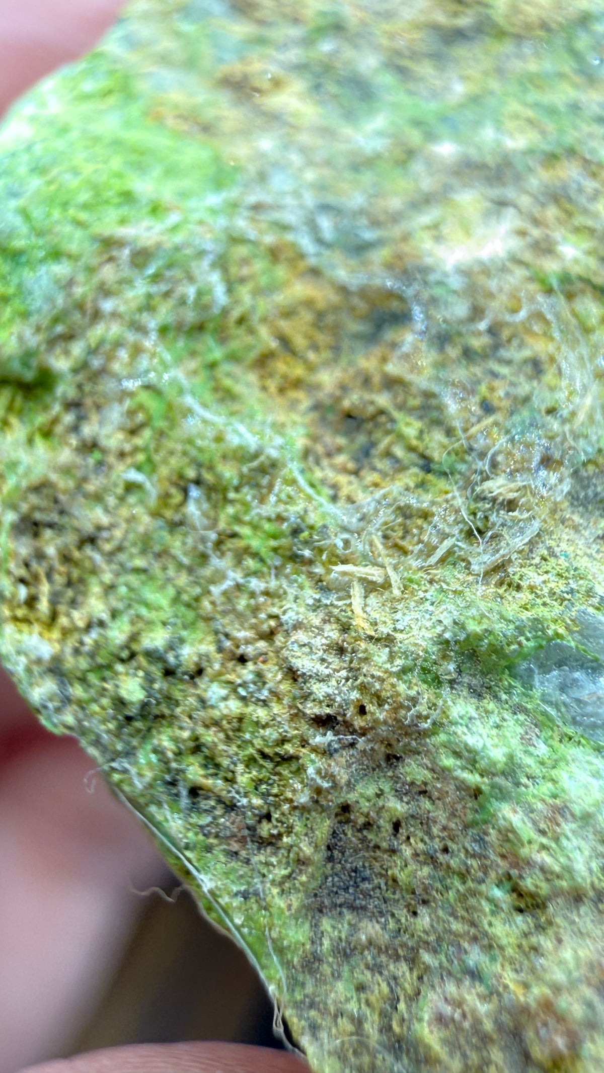Pyromorphite- Tsumeb Mine, Tsumeb, Oshikoto Region, Namibia