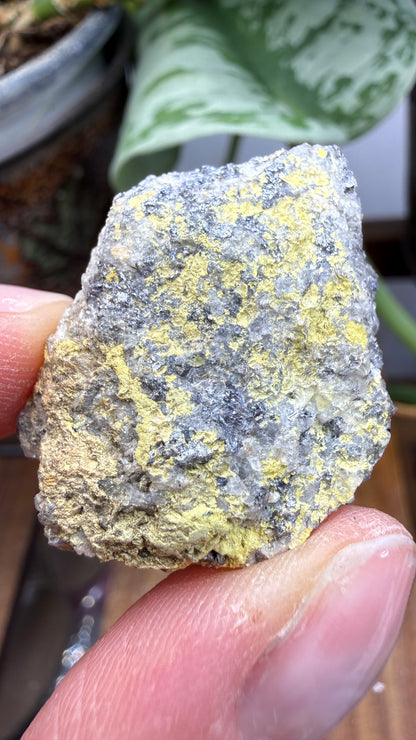 Ferrimolybdite- Big Cottonwood Canyon, Salt Lake County, Utah, USA