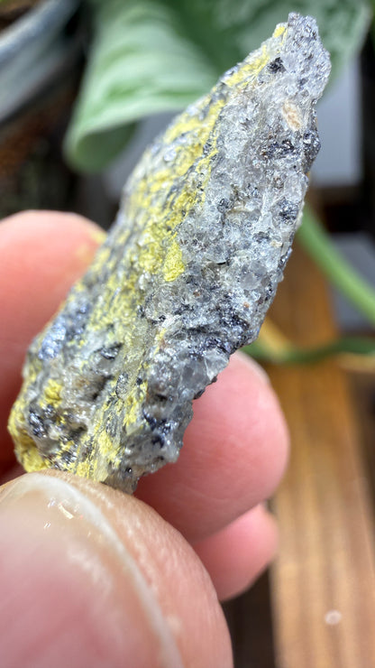 Ferrimolybdite- Big Cottonwood Canyon, Salt Lake County, Utah, USA