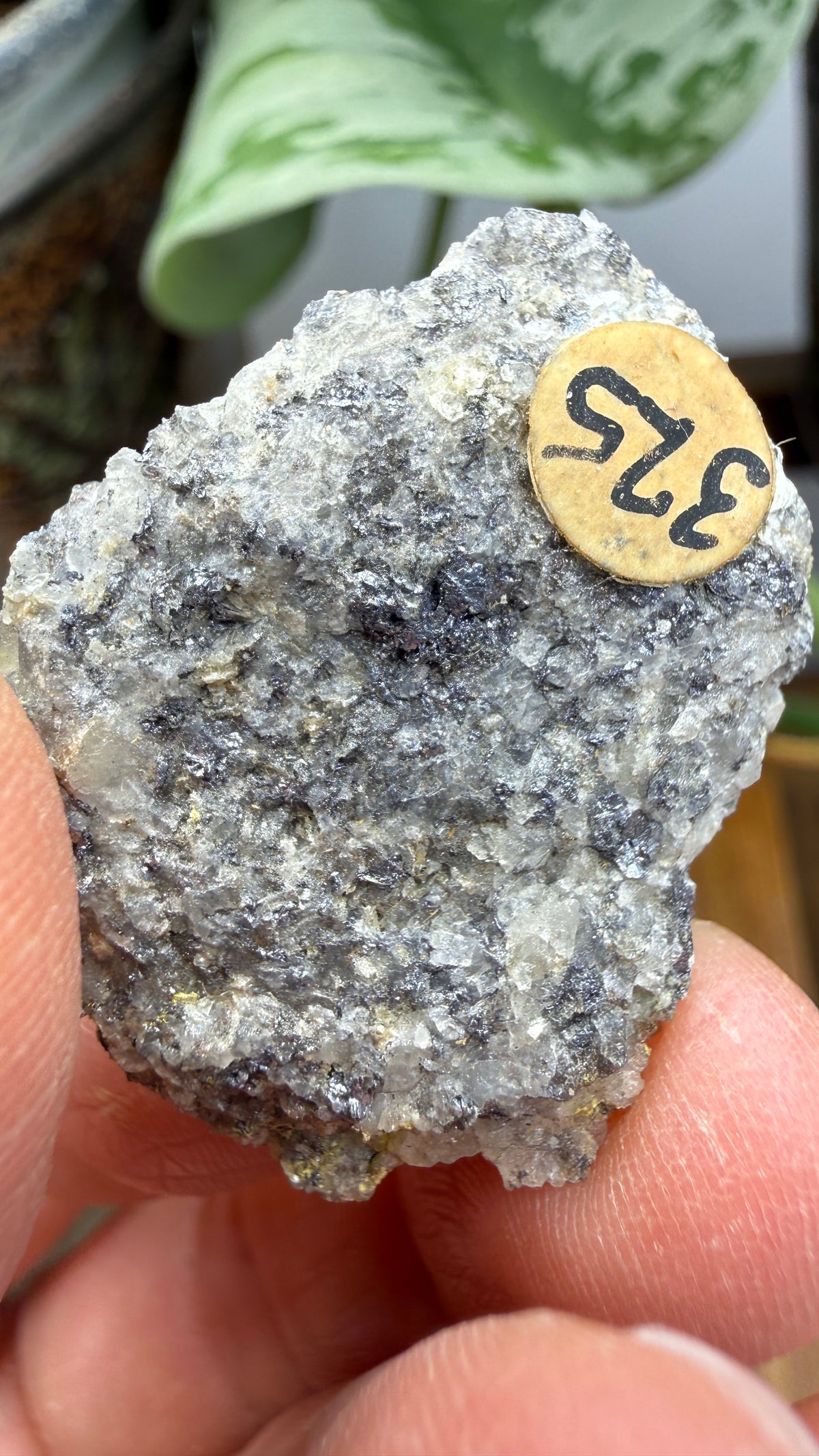 Ferrimolybdite- Big Cottonwood Canyon, Salt Lake County, Utah, USA
