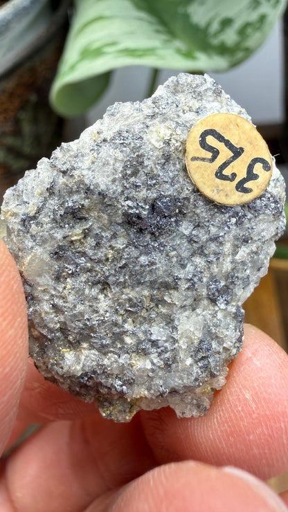 Ferrimolybdite- Big Cottonwood Canyon, Salt Lake County, Utah, USA