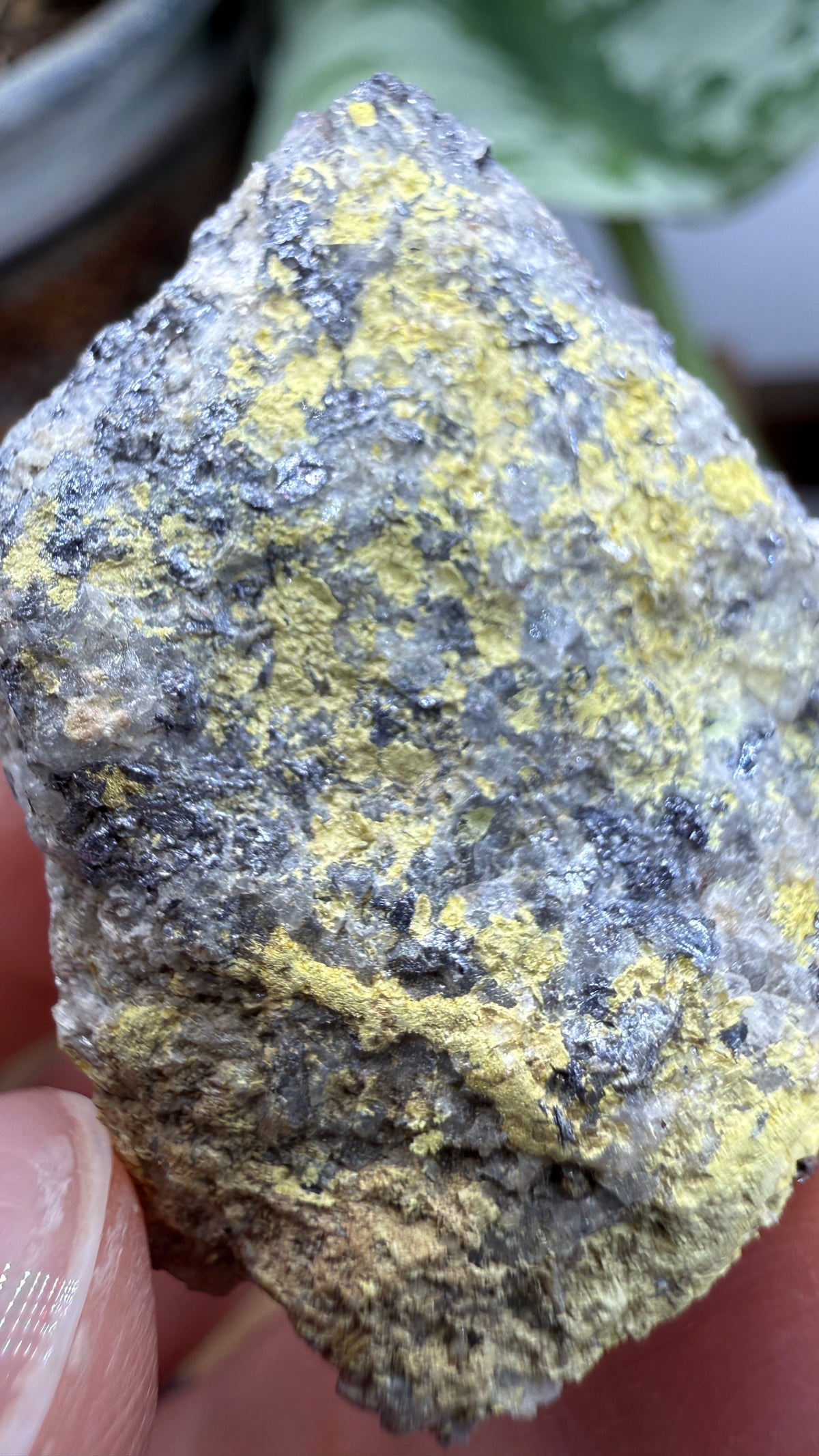 Ferrimolybdite- Big Cottonwood Canyon, Salt Lake County, Utah, USA