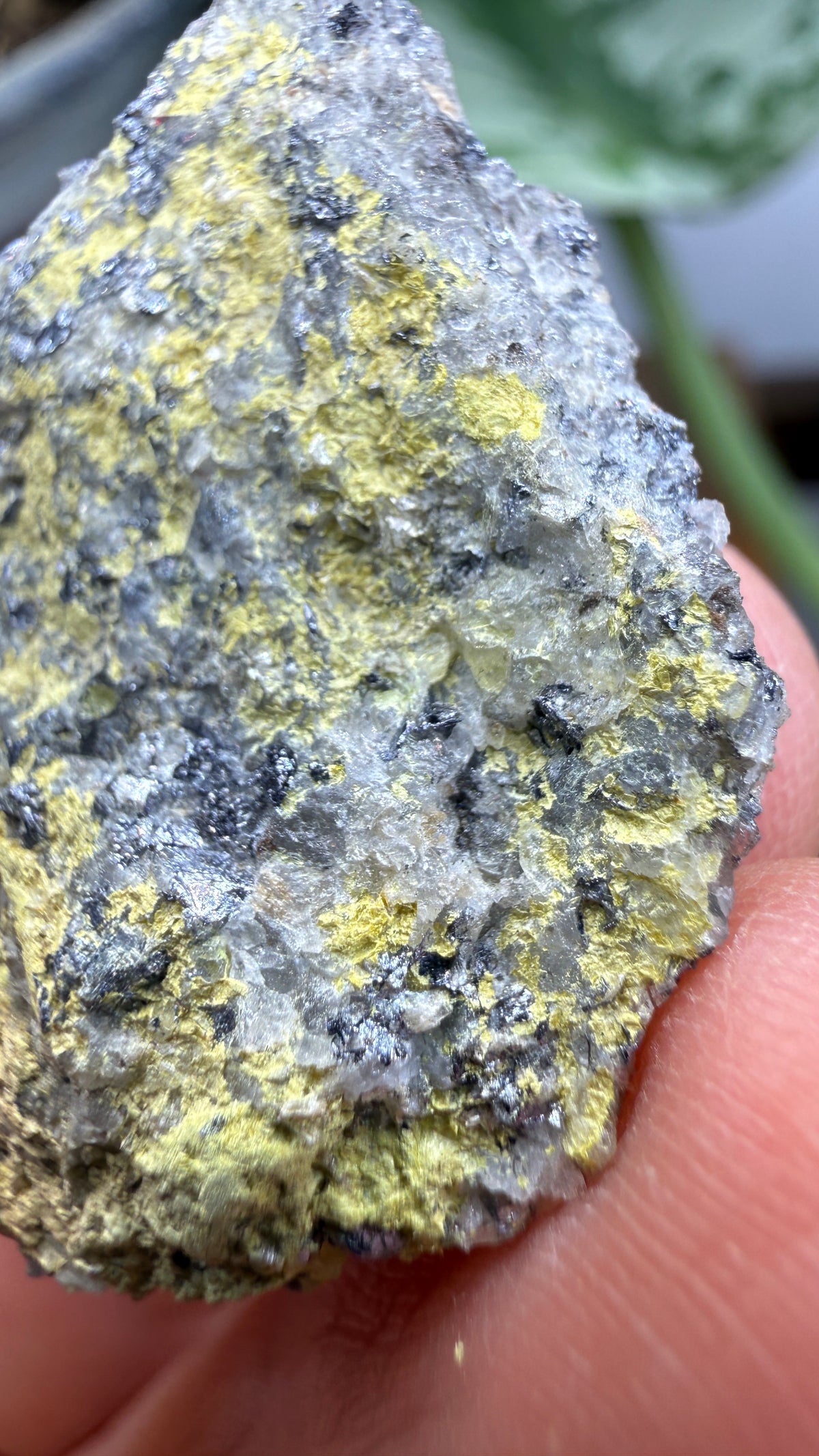 Ferrimolybdite- Big Cottonwood Canyon, Salt Lake County, Utah, USA