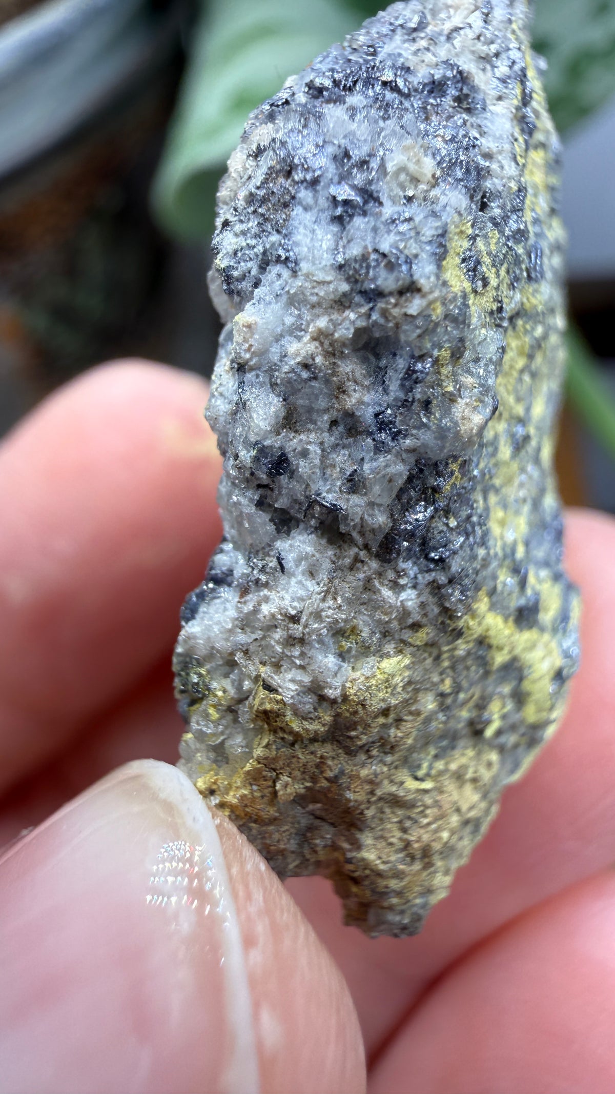 Ferrimolybdite- Big Cottonwood Canyon, Salt Lake County, Utah, USA