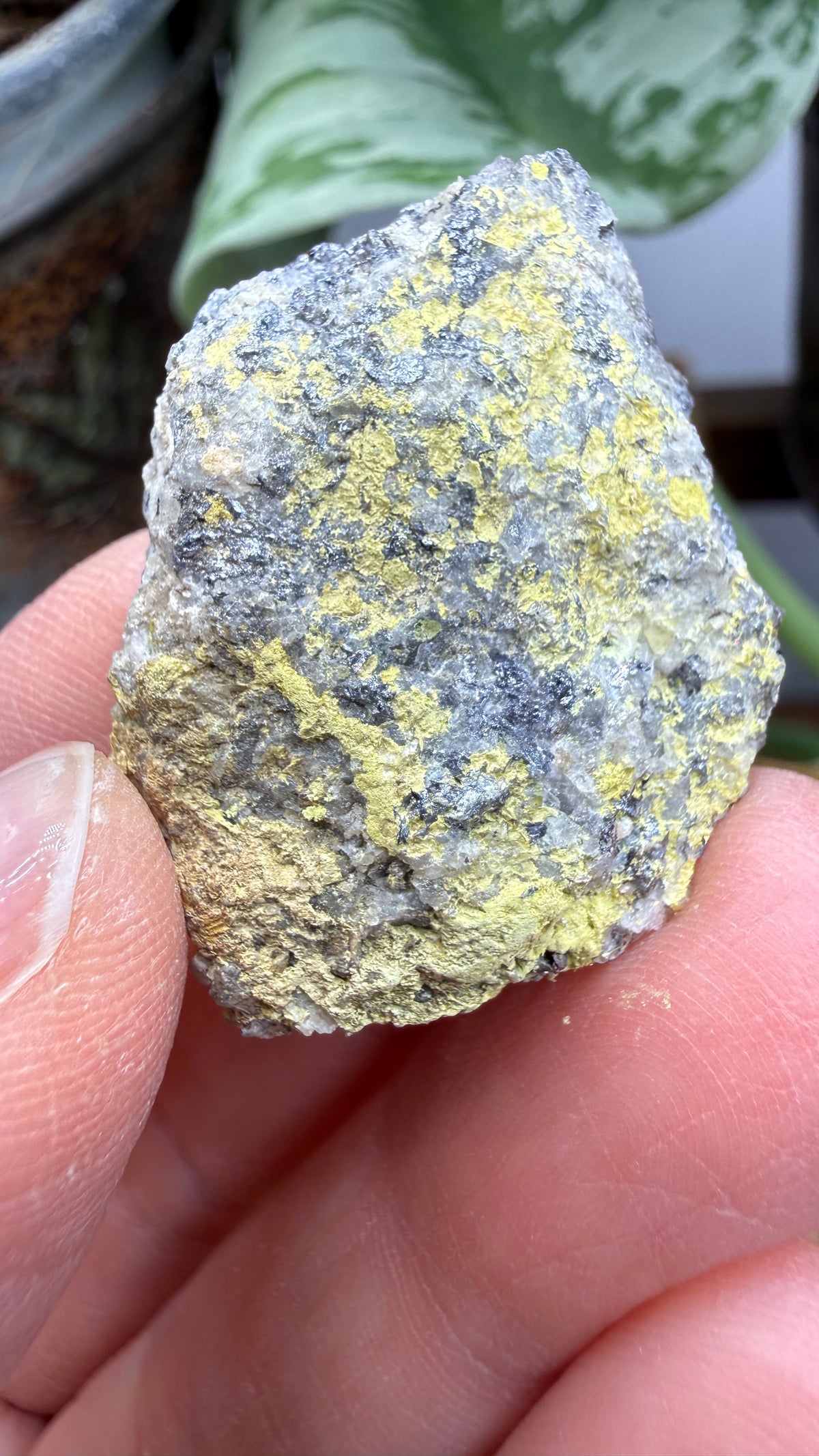 Ferrimolybdite- Big Cottonwood Canyon, Salt Lake County, Utah, USA