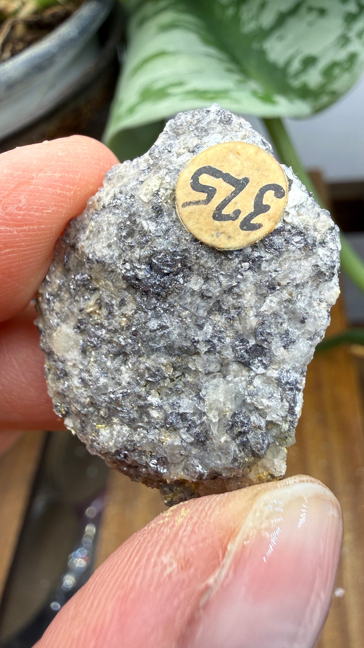Ferrimolybdite- Big Cottonwood Canyon, Salt Lake County, Utah, USA
